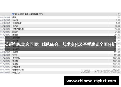 英超各队动态回顾:球队转会、战术变化及赛季表现全面分析 英超各队动态回顾:球队转会、战术变化及赛季表现全面分析