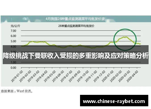 降级挑战下曼联收入受损的多重影响及应对策略分析