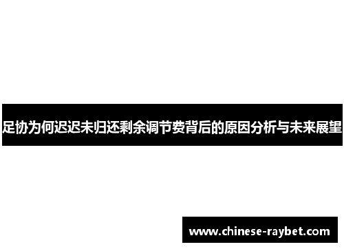 足协为何迟迟未归还剩余调节费背后的原因分析与未来展望