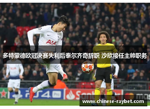 多特蒙德欧冠决赛失利后泰尔齐奇辞职 沙欣接任主帅职务 多特蒙德欧冠决赛失利后泰尔齐奇辞职 沙欣接任主帅职务