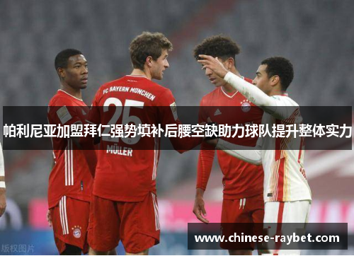 帕利尼亚加盟拜仁强势填补后腰空缺助力球队提升整体实力